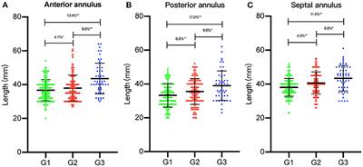 Tricuspid Annulus Dilation in Patients With Combined Functional Tricuspid Regurgitation and Left-Heart Valvular Disease: Does Septal Annulus Not Dilate?